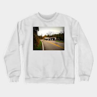 Twist And A Curve Crewneck Sweatshirt